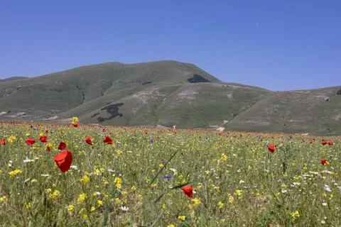 Castelluccio Stock Photos