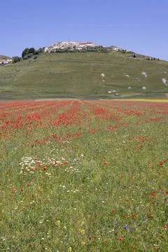 Castelluccio Stock Photos