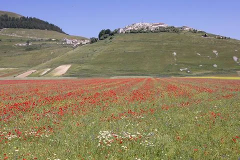 Castelluccio Stock Photos