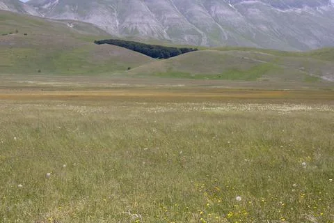 Castelluccio Stock Photos