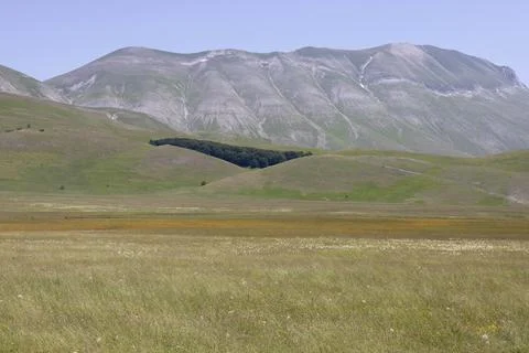 Castelluccio Stock Photos