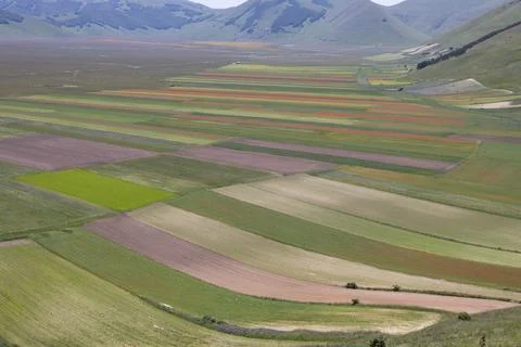 Castelluccio Stock Photos