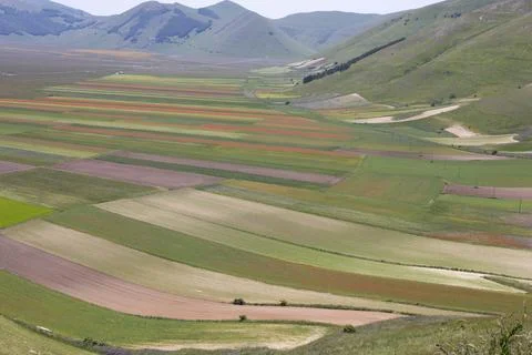 Castelluccio Stock Photos