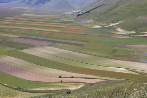 Castelluccio Stock Photos