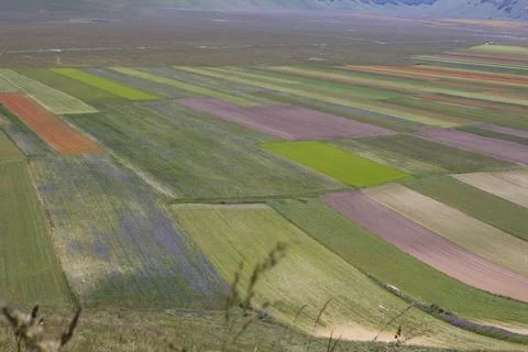 Castelluccio Stock Photos