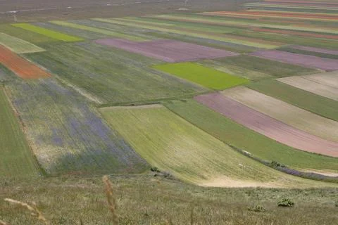 Castelluccio Stock Photos