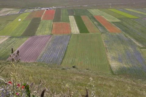 Castelluccio Stock Photos