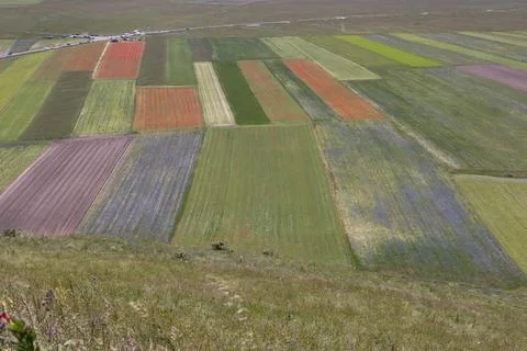 Castelluccio Stock Photos