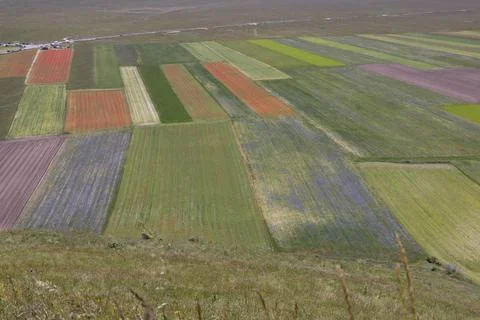 Castelluccio Stock Photos
