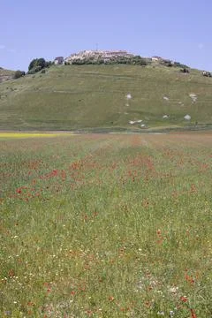 Castelluccio Stock Photos