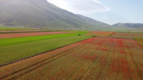 Castelluccio plateau Stock Footage 288191657