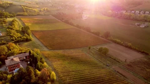Castelvetro wineyards Stock Footage 221001555