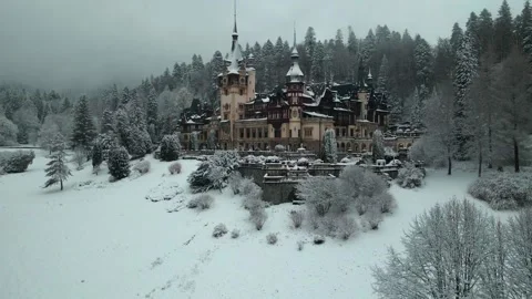 Castillo de peles Video stock 259908450