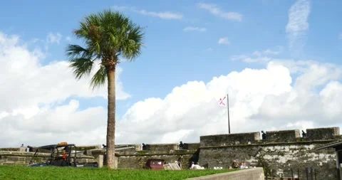 The Castillo de San Marcos the oldest masonry fort wide palm tree blowing Stock Footage 210297883