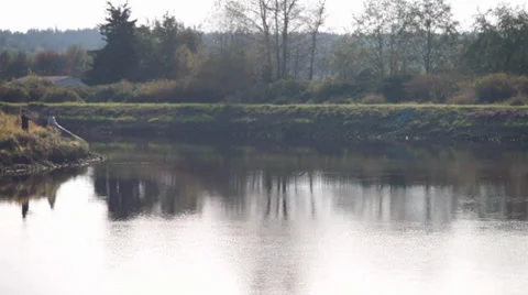 Casting on bank of river Video stock 31392933