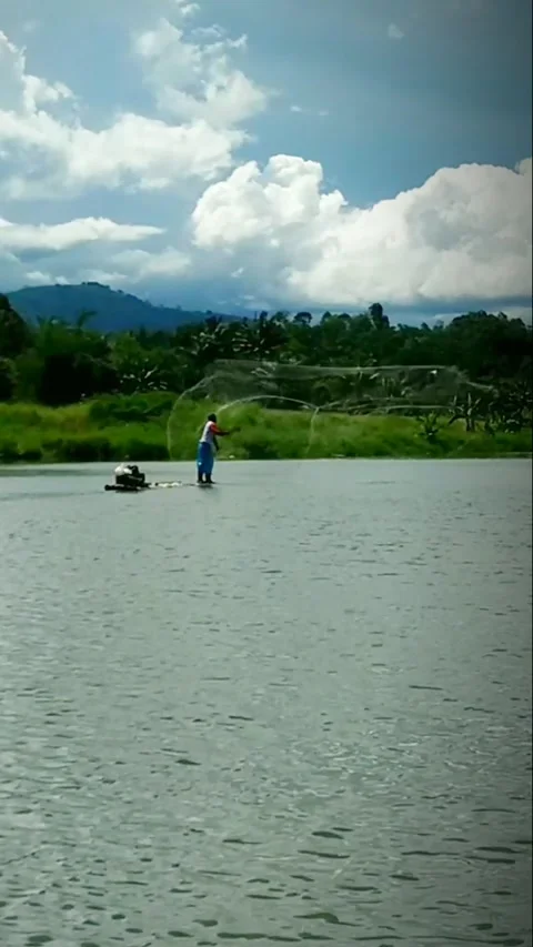 Casting a net for fish Stock Footage 337860184