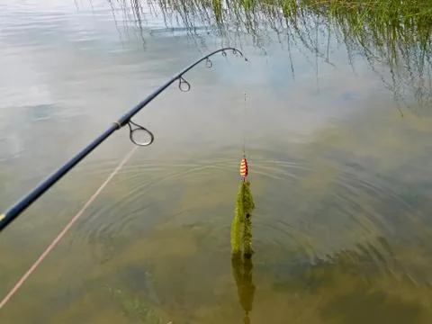 Casting out for fish and catching weeds Stock Photos