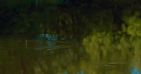 Casting rod in water of lake or pond in forest, closeup view of float on rippled Stock-Footage 200736933