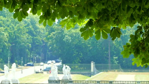 Castle and Car from the Shade of the Trees Vídeo Stock 330636283