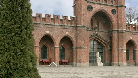 Castle and tree 動画素材 94722460