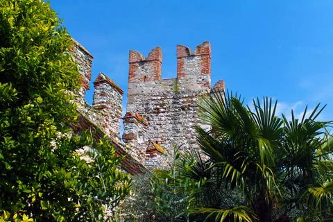 The castle and the trees Stock Photos