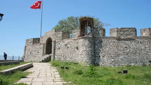 Castle and turkish flag Stock Footage 197408938