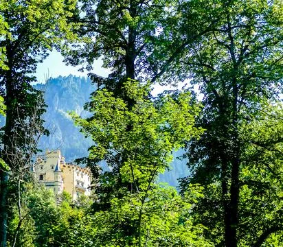 A castle is in the background of a forest Stock Photos