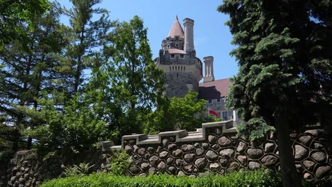 Castle background with trees Stock Footage 77264168