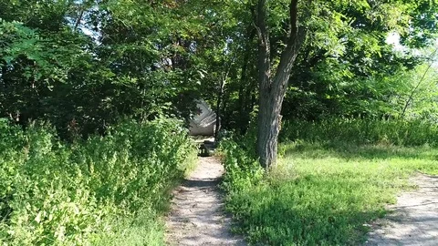 Castle bald mountain in Kiev Stock Footage 78988169