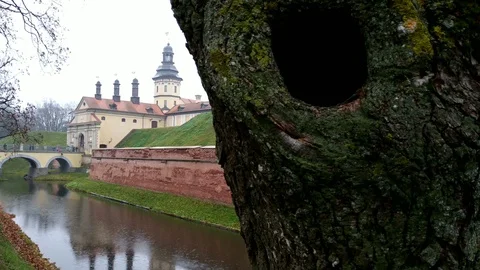 Castle. Bridge. Gate in palace. 動画素材 100340645