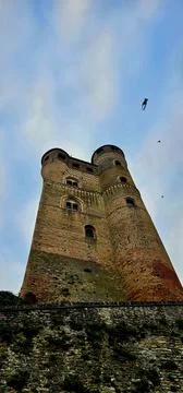 Castle built between 1340 and 1357 at the behest of the Falletti family 库存照片