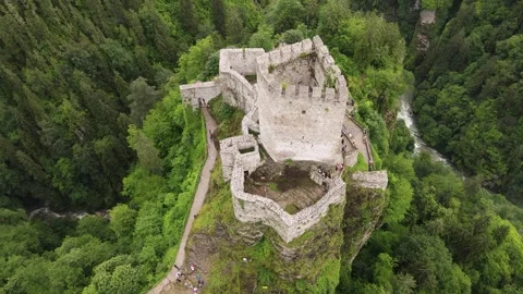 Castle On The Cliffs In The Forest Stock Footage 331153045