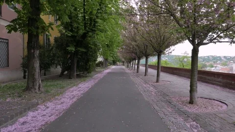 Castle district, Budapest Stock Footage 83666708