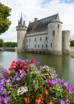 Castle with flowers Stock Photos