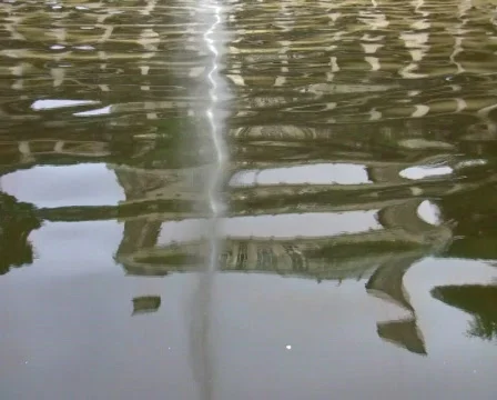  	 castle Vídeo Stock 519922