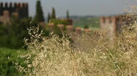 Castle Vídeos de archivo 11956618