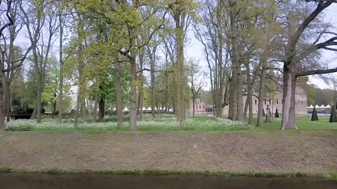 Castle Stock Footage 91920733