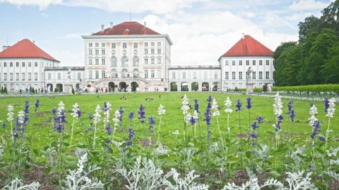 Castle Stock Footage 286113803