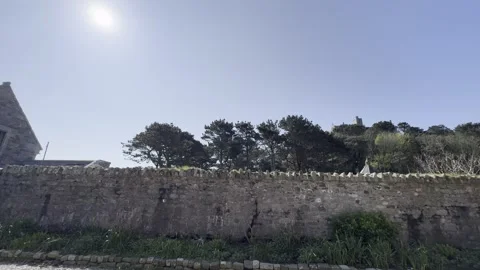 Castle Stock Footage 308126400