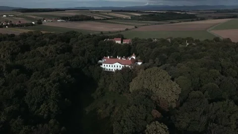 Castle in the forest #2 Video stock 171157299