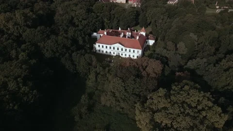 Castle in the forest #2 Stock Footage 171164101