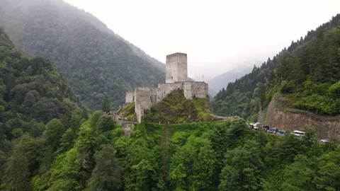 Castle In The Forest Video stock 254663223