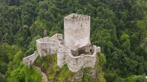 Castle In The Forest Stock Footage 254665698