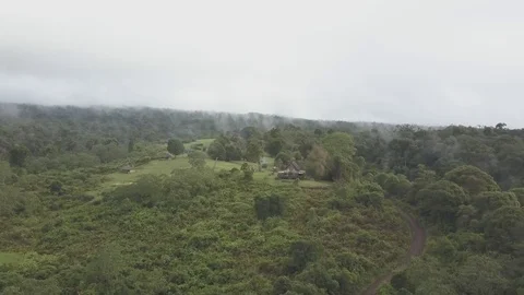 Castle Forest Mount Kenya 스톡 동영상 75810218