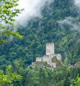 Castle in the forest Stock Photos