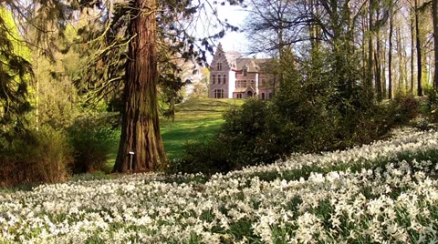 Castle in the Groenenberg park. Stock Footage 37015978