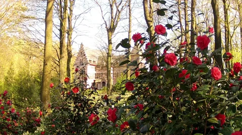 Castle in the Groenenberg park. Stock Footage 37025326