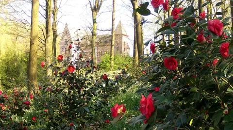 Castle in the Groenenberg park. Stock Footage 37038149
