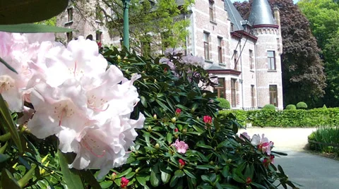 Castle in the Groenenberg park. Stock Footage 37729061