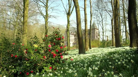 Castle in the Groenenberg park. Video stock 49039598
